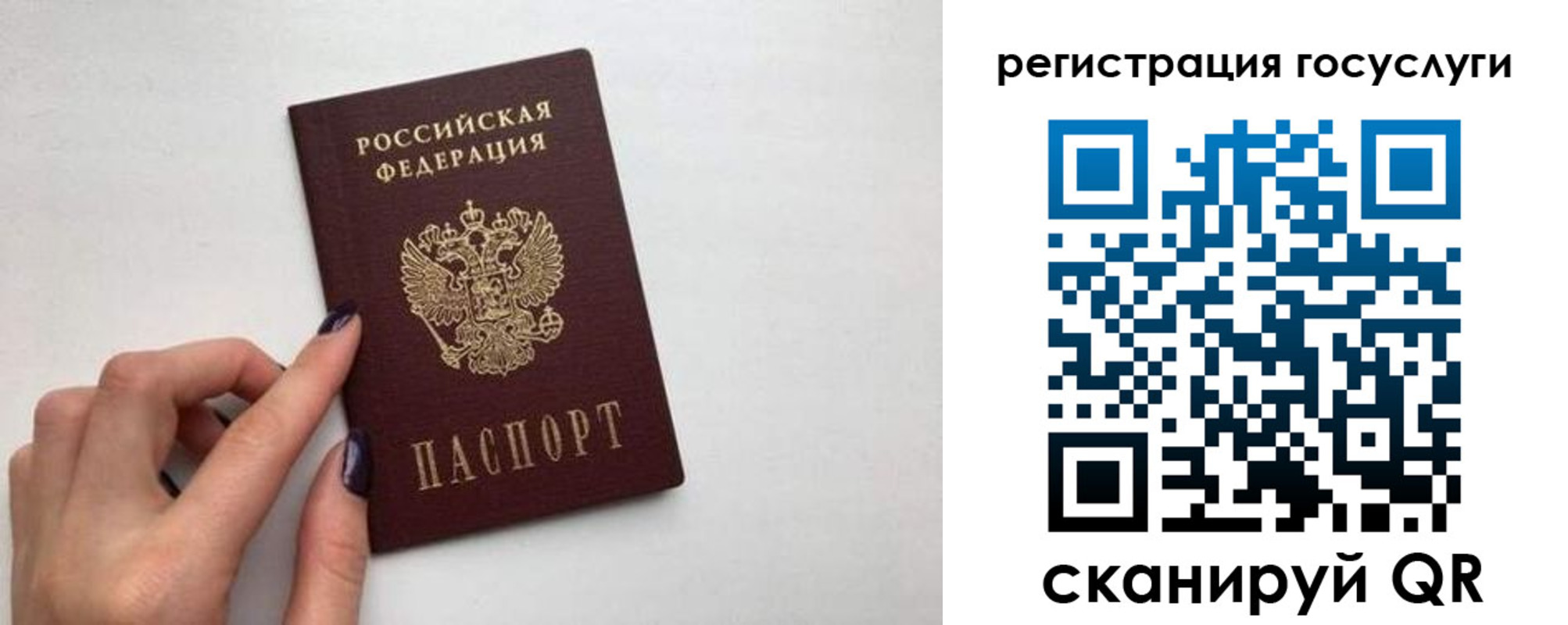 временная регистрация гарантия в Красноярском крае